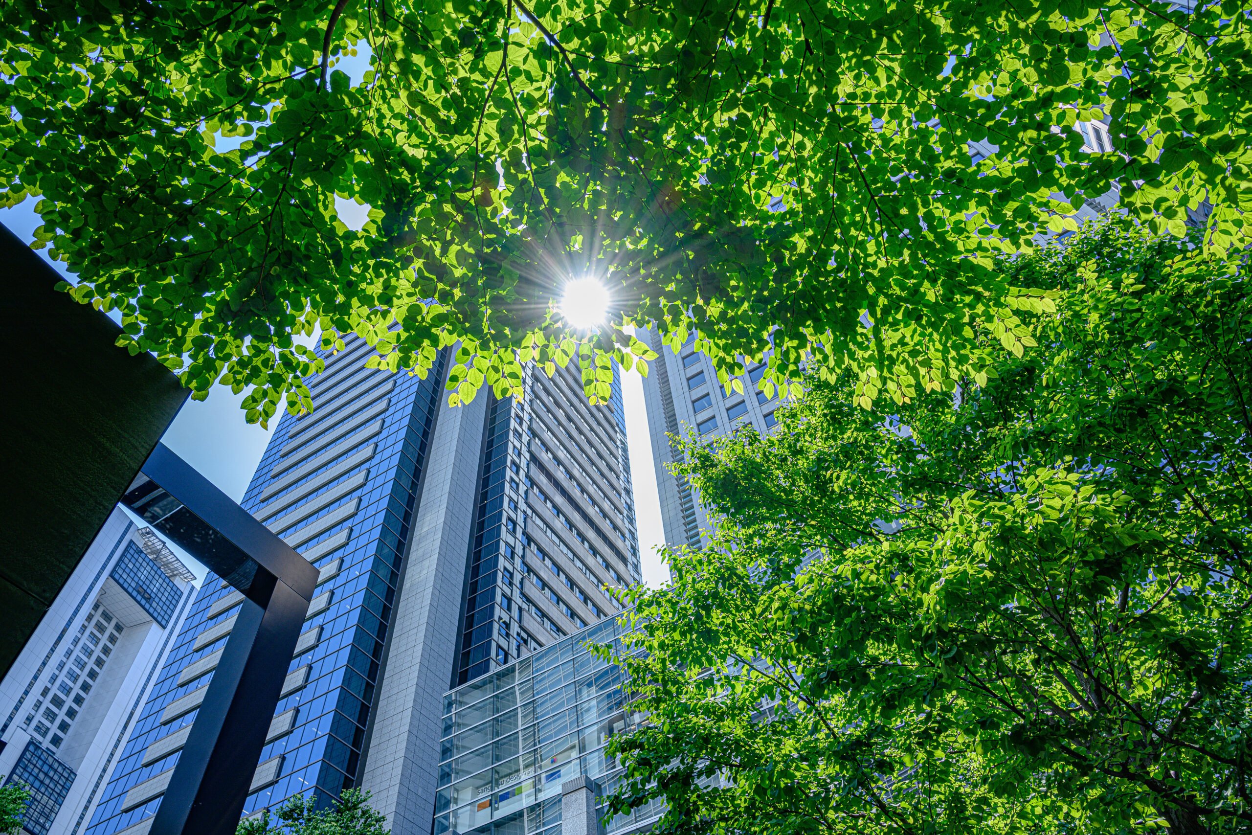 MIR Green Buildings Lumina Infrastructure