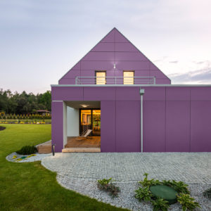 Iliac Facade Application