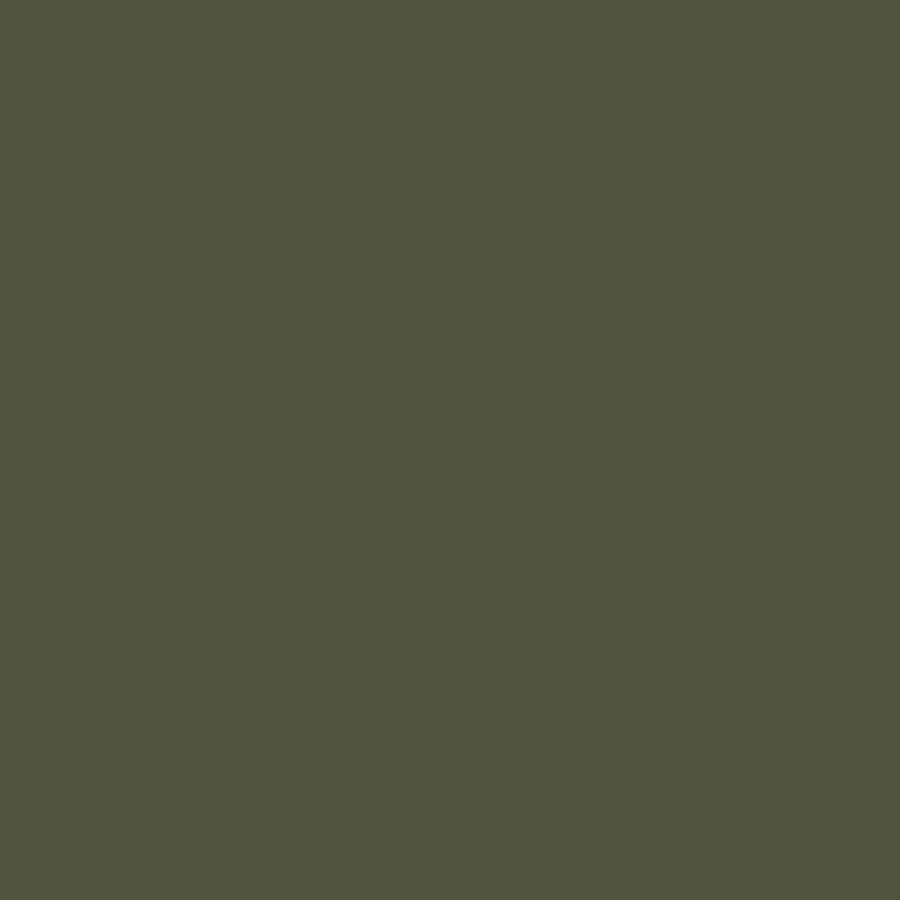 Olive Green Texture